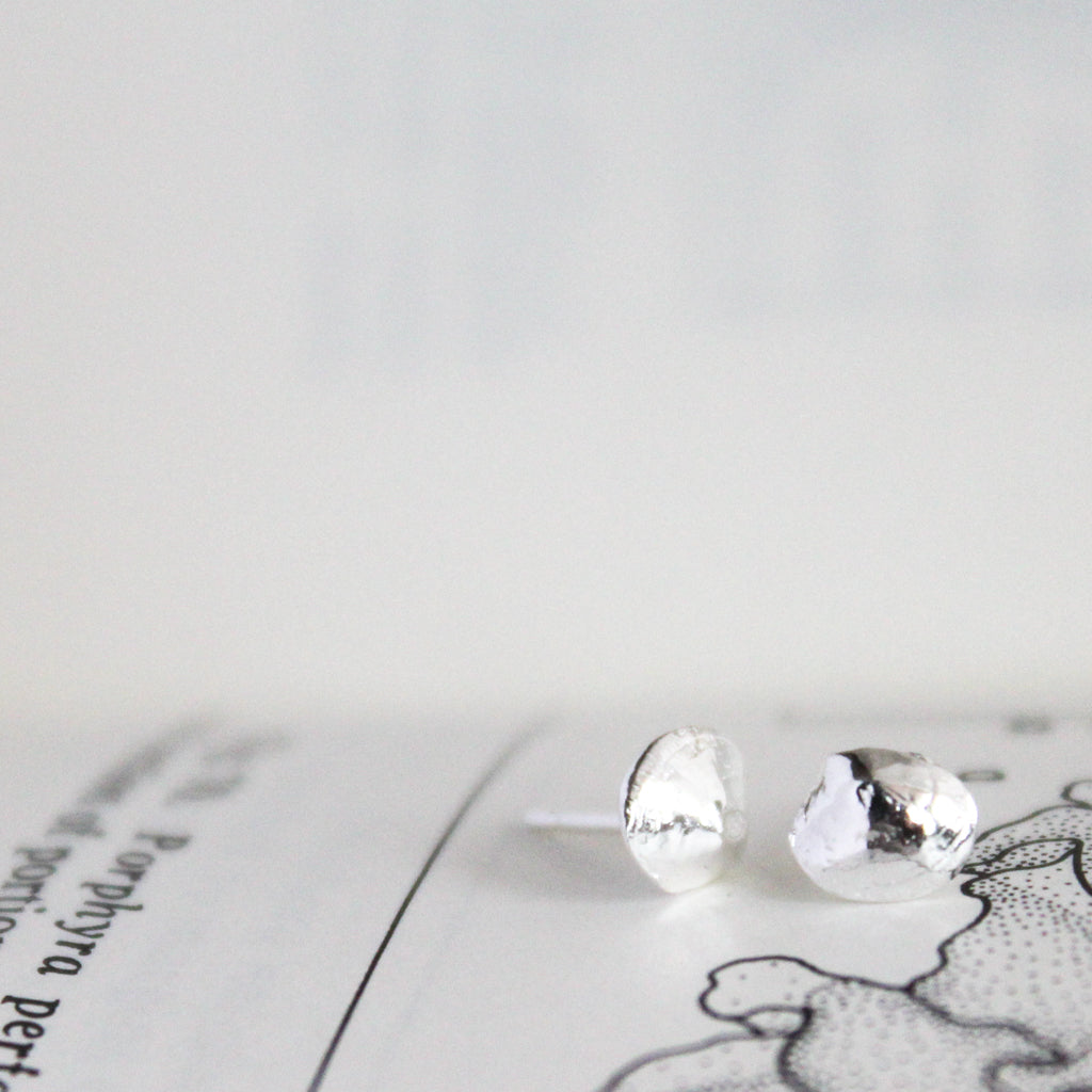 Clam Shell Stud Earrings