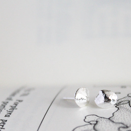 Clam Shell Stud Earrings