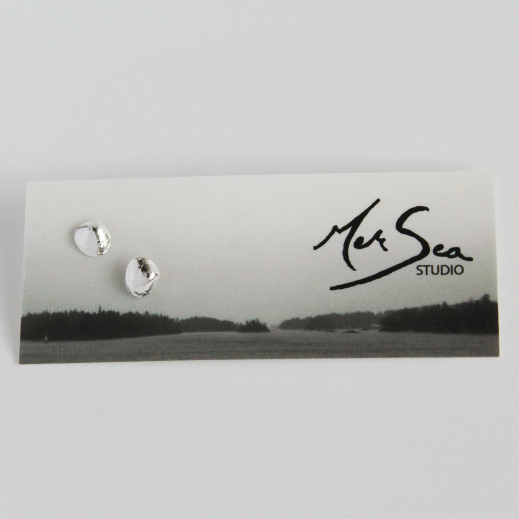 Clam Shell Stud Earrings
