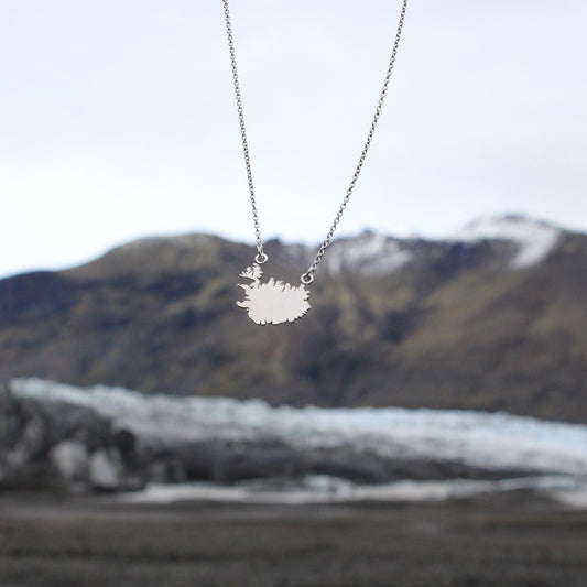 Customized Geography Necklace