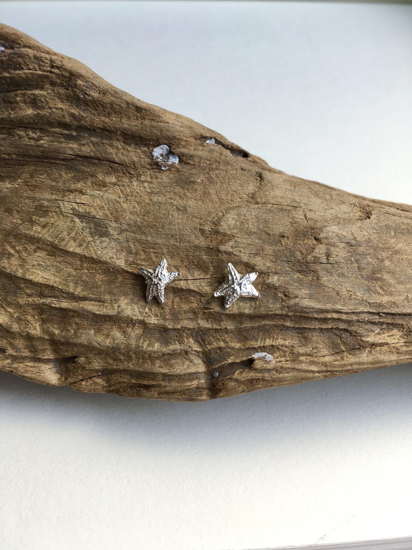 Sea Star Stud Earrings