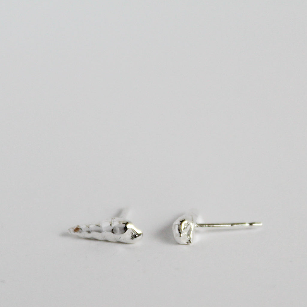 Mudflat Snail Shell Stud Earrings