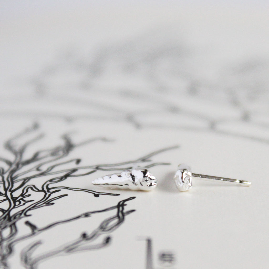 Mudflat Snail Shell Stud Earrings