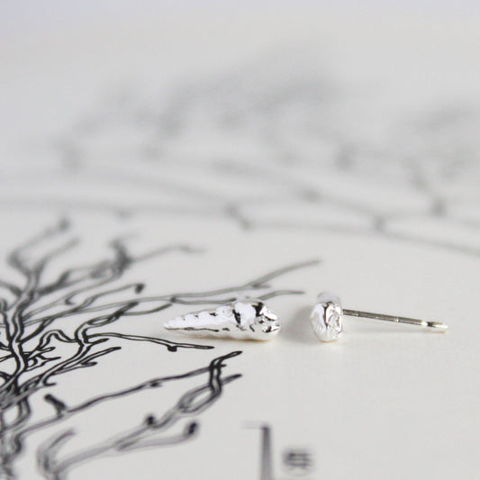 Mudflat Snail Shell Stud Earrings