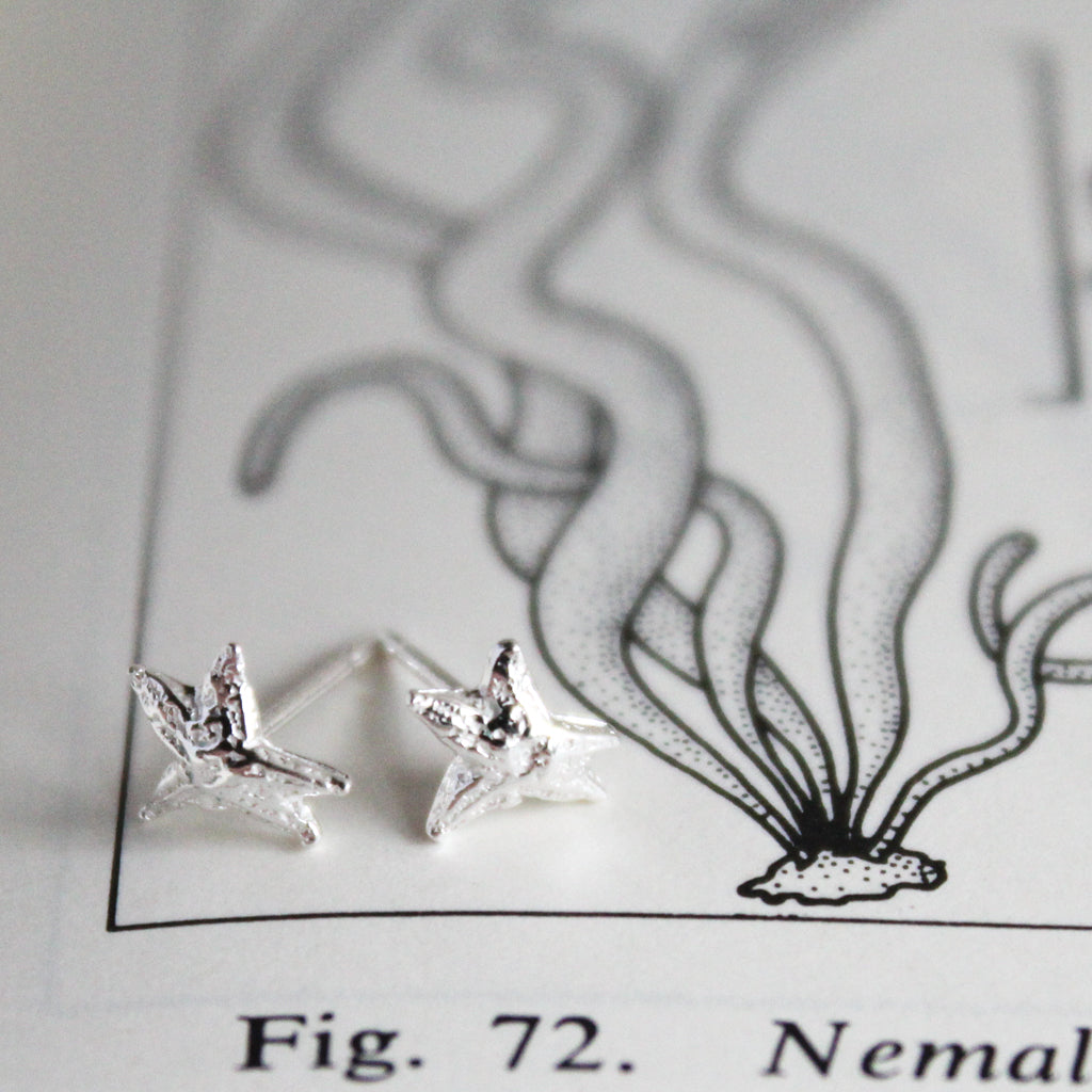 Sea Star Stud Earrings
