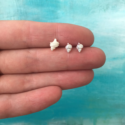 Sitka Periwinkle Shell Stud Earrings