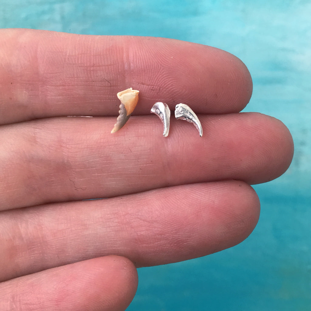 Crab Claw Stud Earrings